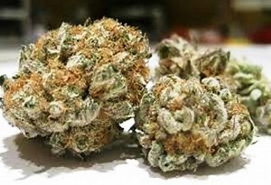 Cherry Skunk | Marijuana Strain Reviews