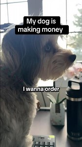 Caught my dog using my computer