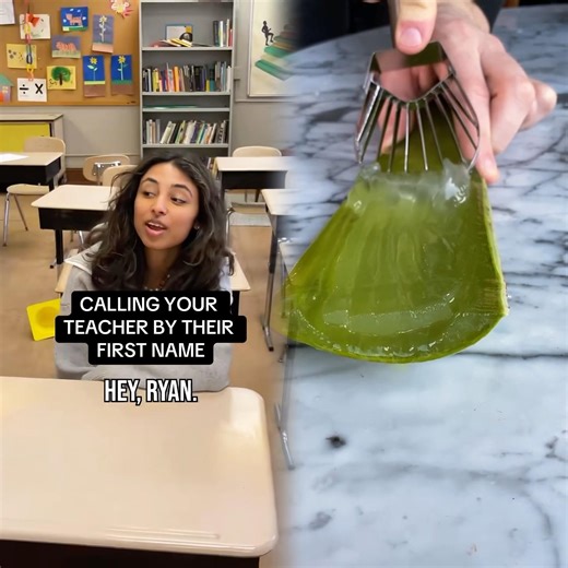 you can look up their salaries too @krab_videos #americanhighshorts #teachers #publicschool