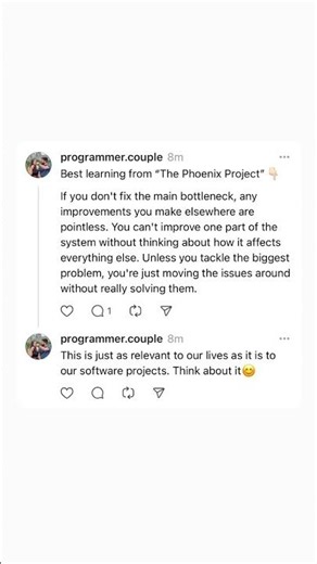 Learnings From The Phoenix Project | Do you agree?