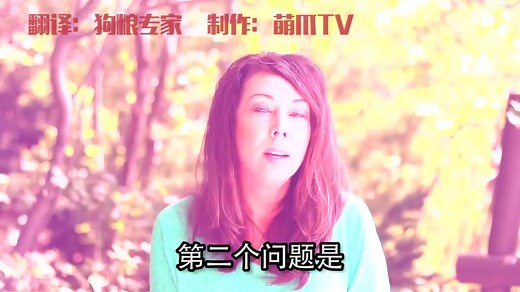 美国兽医教你做营养均衡的自制，生食狗粮（含配方和过程）