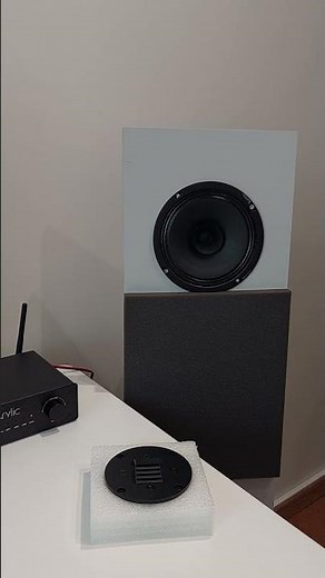 Air Motion Transformer (AMT) Tweeter from Arylic