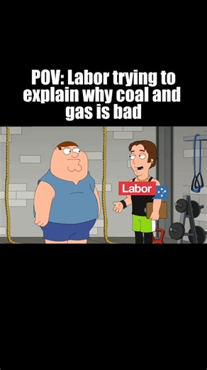 Advance Australia on Instagram: "Don’t ever ask a Labor MP why coal and gas is bad because this is what you get ..."