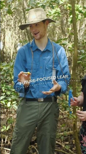 Study the environment in Australia with UQ