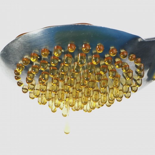 Sweet Hustle! What Really Happens on a Bee Farm | 5-Minute Crafts Family