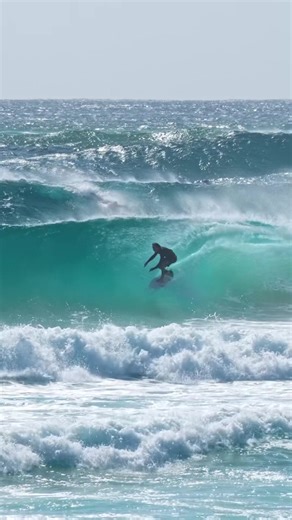 Discover the Thrill of Surfing Adventures