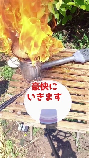 [夏の山菜] 山ウドの天ぷら 野趣に富む美味しさがたまらん! #家庭菜園