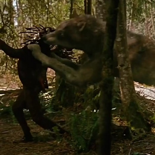 Twilight Wolf Death's: A Tribute to the Werewolf Pack