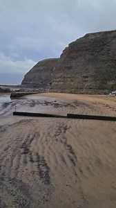 35K views · 891 reactions | Spend 5 minutes with the FetchKing | FetchKing | Facebook