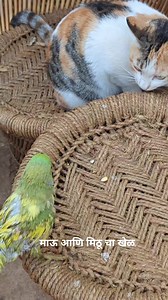 Neeta Kumbhar on Reels