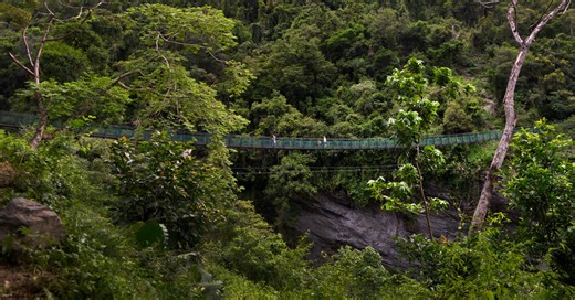 Taiwan’s Underrated East Coast Is a Gem for Nature Lovers