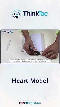 Heart Model | DIY Science | ThinkTac