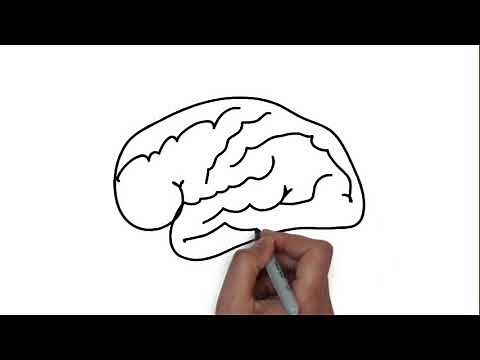 Neurotransmisores: Dopamina y Serotonina