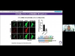 「シヌクレイノパチーを予防可能な新規中分子治療薬の開発」東北大学 大学院薬学研究科 先進脳創薬講座 特任准教授 川畑 伊知郎