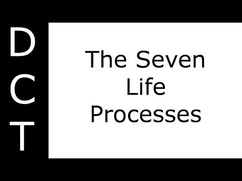 The Seven Life Processes (KS3/K7-11 Biology)