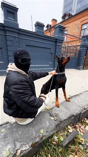The whole truth about the meaning of white shoelaces! Lace Studies