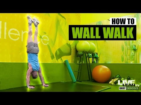 How To Do A WALL WALK | Exercise Demonstration Video and Guide