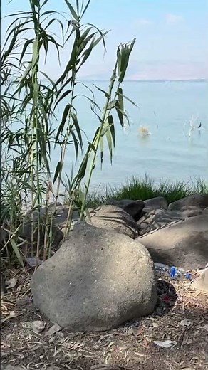 Good morning for the Sea of Galilee! 🦎🚣🇮🇱 ​⁠w Moshe 📸‪@lightwavesworship8691‬