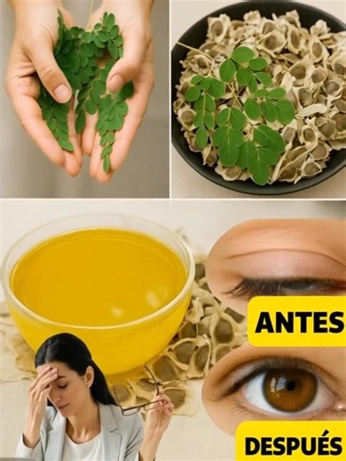 12 Beneficios de las Semillas de Moringa que Nunca Oirás de tu Médico (Pero que Deberías Conocer). 👇 Para seguir recibiendo mis recetas, solo debes decir algo… ¡Gracias! | Salmerón