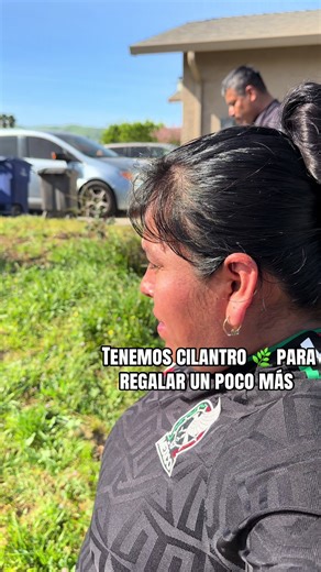 Fresh Cilantro for Everyone