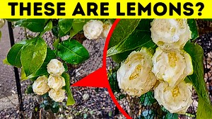 15 Stunning Images That Show Why Each Country Is One-of-a-Kind | Bright Planet