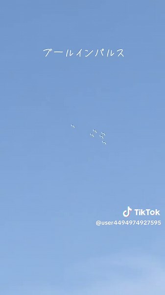 ブルーインパルスの展示飛行とサイン会