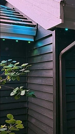 EPIC CHRISTMAS LIGHTS installation in Seattle.