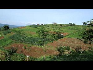 Conservation Agriculture in the Philippines