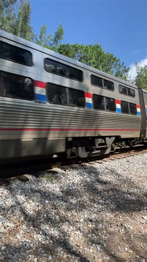 Amtrak Silver Star Southbound At 79MPH