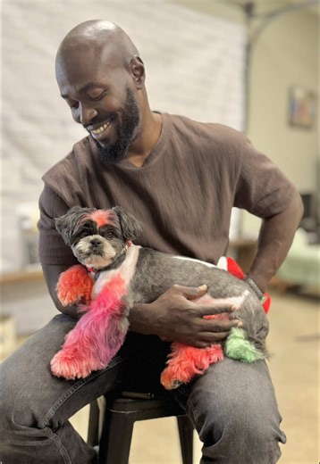 Funny Dog Comedy Skit That Will Make You Laugh