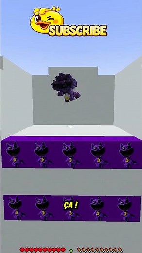 Minecraft: Matching Colors vs. the Internet