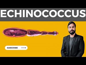 Echinococcus general character and Life cycle