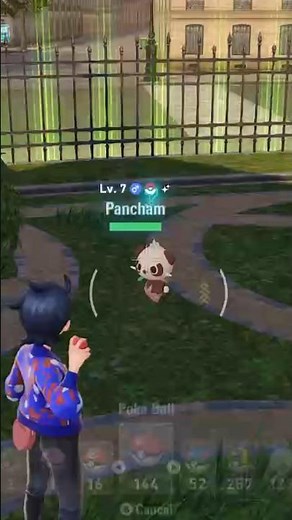 Little Panda Fighter #pokemon #pokemon #shinypokemon #pokemonlegendsza #pancham #littlepandafighter