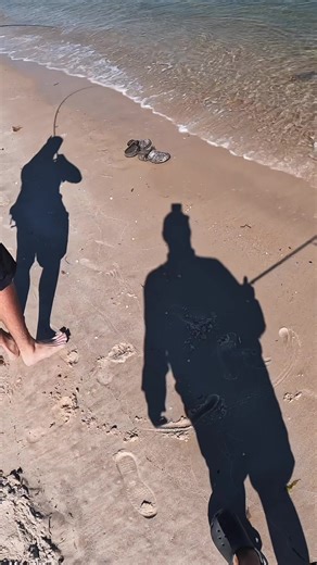 The perfect day of surf fishing doesn't exi— 🤯🐟 Flounder, Spanish Mackerel, AND Blowfish on the same day! #fishing #flounder #surffishing #saltwaterfishing #shorejigging