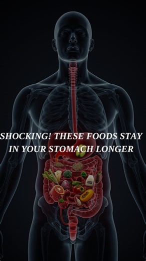 LiveWell on Instagram: "🚨 Your “slow digestion” might be your meal. Those time ranges aren’t just fun facts 😮‍💨 They explain WHY you can feel: 😴 sleepy after eating 🫧 bloated for hours 🍬 hungry again fast 🔥 reflux at night Here’s the real driver 👇 🍕 Meals digest SLOWER when they’re higher in fat + low in fiber (because fat slows stomach emptying) 🍉 Foods that are mostly water/sugar digest FAST → quick hunger if eaten solo Use this simple timing hack ✅ 🥚 If you eat fruit → pair it with
