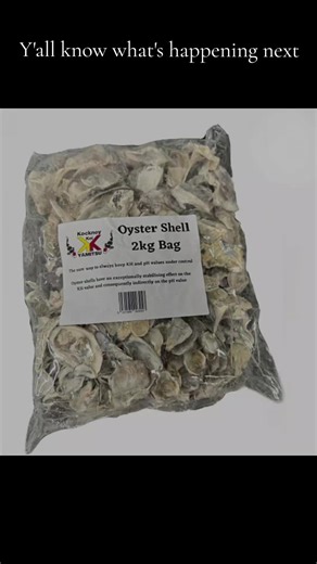 Next little upgrade on the trickle tower. Nice, cheap, easy and effective. #dannylambkoitok #oysters #shells #trickle #shower