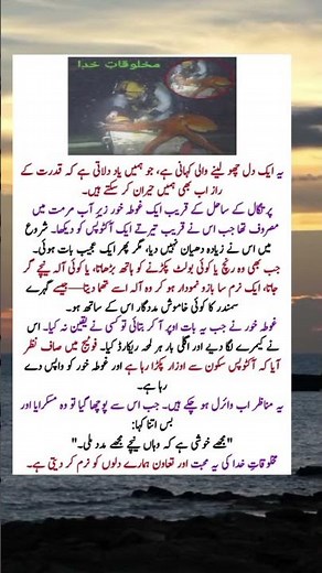 “When an Octopus Helped a Diver – A Heart-Touching Real Story!”