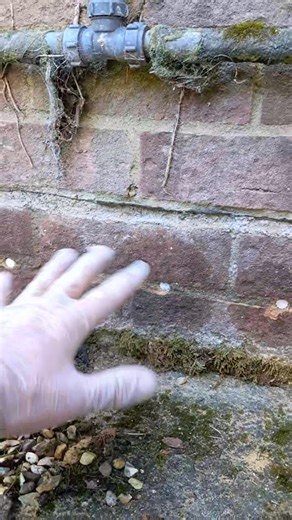 Rising Damp Dry Rods | Plumbing & Rising Damp Solutions