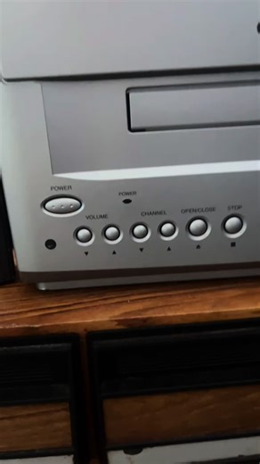 Selena's Last Concert in 1995: A DVD Tribute