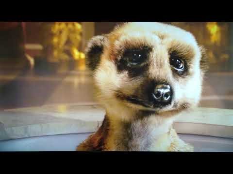 "Bubbly Bath" commercial for comparethemeerkat.com.au by Aleksandr Orlov. Official Australias.