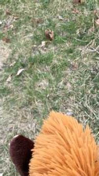 My view vs your view