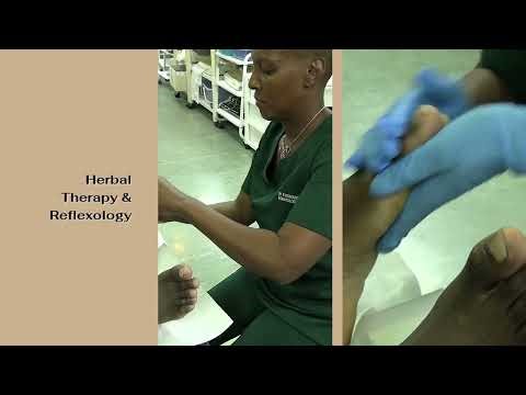 Wisdom of the Hand in Somatology