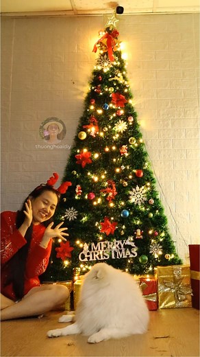 DIY Christmas tree that won’t damage your wall | Life and Fun Story