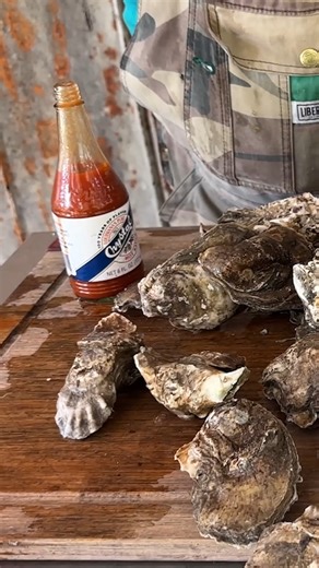 Oyster hot sauce mishap. Oops. #hotsauce #humor #louisiana | Bruce Mitchell