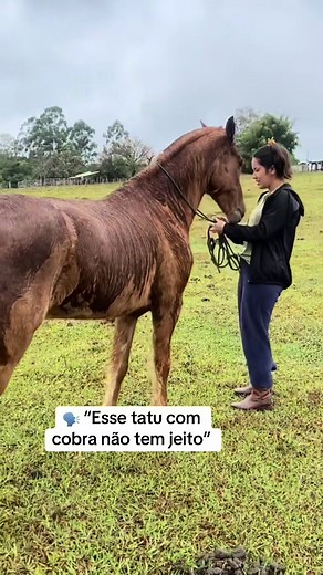 Significado da Tatuagem de Cobra: Mitos e Interpretações