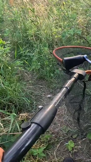 35K views · 107 reactions | Topwater blowup on the Micro Popper 55  #savagegear #topwater #chub | Savage Gear UK | Facebook