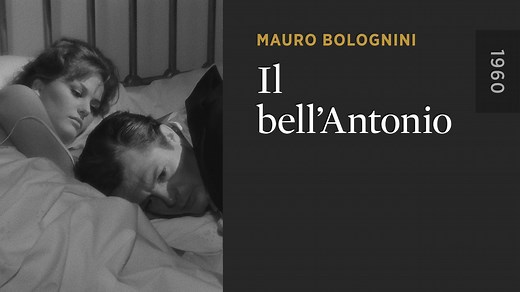 Il bell’Antonio - The Criterion Channel