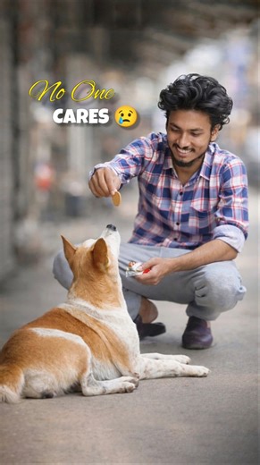 Hungry Stray Dog Ignored by All 😢 | Dog Feeding Story