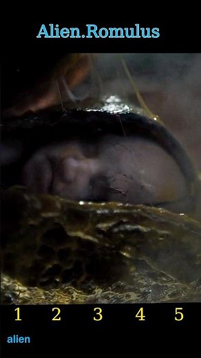 Alien: Romulus (2024) | The Offspring Awakens – Human-Xenomorph Hybrid Stalks the Crew 👽💀🚀