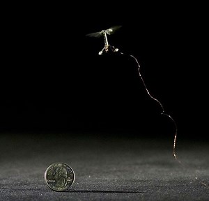 Tiny 'RoboBee' Microrobot Finally Up And Buzzing Around